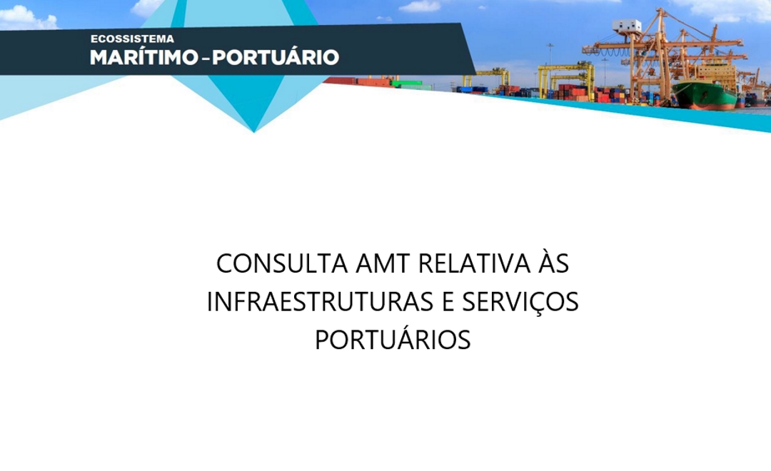 Consulta  - Infraestruturas e Serviços Portuários